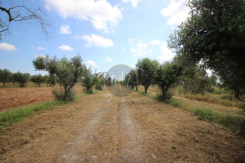 Landejendom i Calimera, Lecce, Calimera - € 135.000 | Ref:  CR001 - foto 15